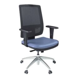 Brizza Tela - Presidente