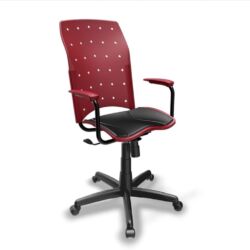 Ergoplax - Presidente