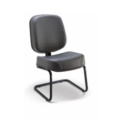 Premium - Diretor Frontal